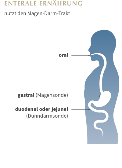 Enterale Ernährung Grafik
